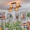Gastor Plafondlamp, Kogellampje Goud, Zwart, 8-lichts