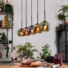 Ripoll Hanglamp, Kogellampje, Hanglamp Natuurlijke kleuren, Zwart, 5-lichts