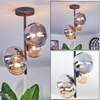 Chehalis Plafondlamp, Kogellampje 33 cm Amber, Duidelijk, Rookkleurig, 4-lichts