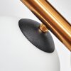 Gastor Plafondlamp, Kogellampje Goud, Zwart, 10-lichts