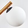Gastor Plafondlamp, Kogellampje Goud, Zwart, 10-lichts