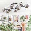 Ripoll Plafondlamp, Kogellampje Chroom, Rookkleurig, 10-lichts