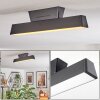 Tarin Plafondlamp LED Zwart, 1-licht, Kleurwisselaar