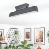 Tarin Plafondlamp LED Zwart, 1-licht, Kleurwisselaar