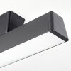 Tarin Plafondlamp LED Zwart, 1-licht, Kleurwisselaar