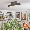 Tarin Plafondlamp LED Zwart, 1-licht, Kleurwisselaar