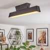 Tarin Plafondlamp LED Zwart, 1-licht, Kleurwisselaar