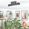 Tarin Plafondlamp LED Zwart, 1-licht, Kleurwisselaar