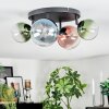 Chehalis Plafondlamp, Kogellampje Blauw, Groen, Duidelijk, Koperkleurig, 4-lichts