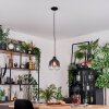 Dekan Hanglamp, Hanglamp Zwart, 1-licht Dekan Hanglamp, Hanglamp Zwart, 1-licht