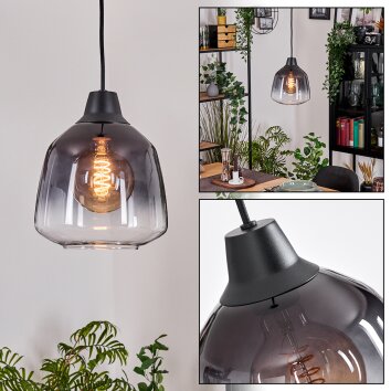 Dekan Hanglamp, Hanglamp Zwart, 1-licht Dekan Hanglamp, Hanglamp Zwart, 1-licht