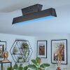 Tarin Plafondlamp LED Zwart, 1-licht, Kleurwisselaar Tarin Plafondlamp LED Zwart, 1-licht, Kleurwisselaar