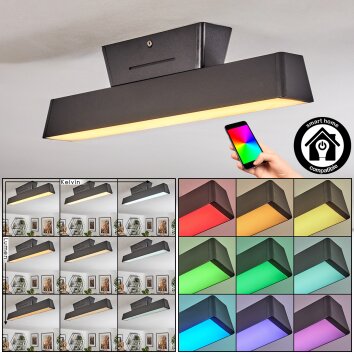 Tarin Plafondlamp LED Zwart, 1-licht, Kleurwisselaar Tarin Plafondlamp LED Zwart, 1-licht, Kleurwisselaar