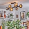 Ripoll Plafondlamp, Kogellampje Chroom, Duidelijk, Rookkleurig, 8-lichts
