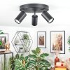 Foren Plafondlamp, Plafondspot LED Zwart, 3-lichts, Kleurwisselaar
