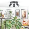 Foren Plafondlamp, Plafondspot LED Zwart, 3-lichts, Kleurwisselaar