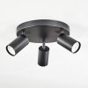 Foren Plafondlamp, Plafondspot LED Zwart, 3-lichts, Kleurwisselaar Foren Plafondlamp, Plafondspot LED Zwart, 3-lichts, Kleurwisselaar