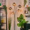 Ripoll Kogellampje, Staande lamp Amber, Rookkleurig, 5-lichts