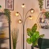 Ripoll Kogellampje, Staande lamp Amber, Duidelijk, Rookkleurig, 5-lichts