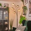 Ripoll Kogellampje, Staande lamp Amber, Duidelijk, Rookkleurig, 5-lichts