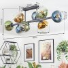 Koyoto Plafondlamp, Kogellampje Blauw, Goud, Groen, Duidelijk, 8-lichts