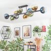 Koyoto Plafondlamp, Kogellampje Blauw, Goud, Groen, Duidelijk, 10-lichts