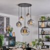 Ripoll Hanglamp, Kogellampje, Hanglamp Duidelijk, Rookkleurig, 5-lichts