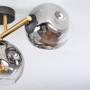 Ripoll Plafondlamp, Kogellampje Goud, Zwart, 3-lichts