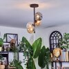 Chehalis Plafondlamp, Kogellampje Amber, Duidelijk, Rookkleurig, 4-lichts