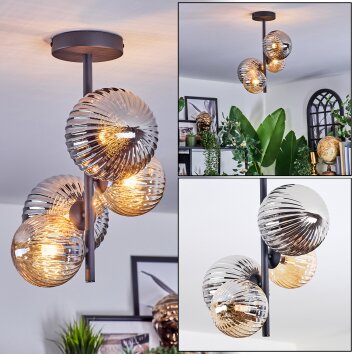 Chehalis Plafondlamp, Kogellampje Amber, Rookkleurig, 4-lichts
