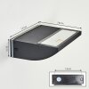 Damor Wandlamp voor buiten, Wandlamp LED Zwart, 1-licht Damor Wandlamp voor buiten, Wandlamp LED Zwart, 1-licht
