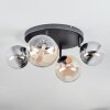 Chehalis Plafondlamp, Kogellampje Amber, Duidelijk, Rookkleurig, 4-lichts