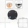 Chehalis Plafondlamp, Kogellampje Amber, Duidelijk, Rookkleurig, 4-lichts