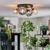 Chehalis Plafondlamp, Kogellampje Amber, Duidelijk, Rookkleurig, 4-lichts