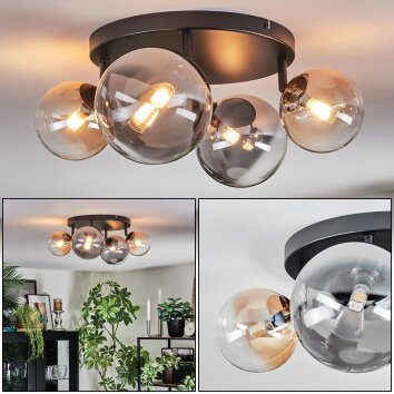 Chehalis Plafondlamp, Kogellampje Amber, Duidelijk, Rookkleurig, 4-lichts