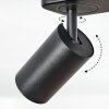 Foren Plafondlamp, Plafondspot LED Zwart, 4-lichts, Kleurwisselaar