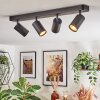 Foren Plafondlamp, Plafondspot LED Zwart, 4-lichts, Kleurwisselaar