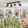 Foren Plafondlamp, Plafondspot LED Zwart, 4-lichts, Kleurwisselaar