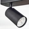 Foren Plafondlamp, Plafondspot LED Zwart, 4-lichts, Kleurwisselaar Foren Plafondlamp, Plafondspot LED Zwart, 4-lichts, Kleurwisselaar