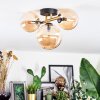 Chehalis Plafondlamp, Kogellampje Goud, Zwart, 3-lichts