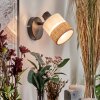Fallhagen Wandlamp, Muurspot Zwart, 1-licht