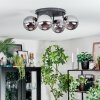 Gastor Plafondlamp, Kogellampje Rookkleurig, 4-lichts
