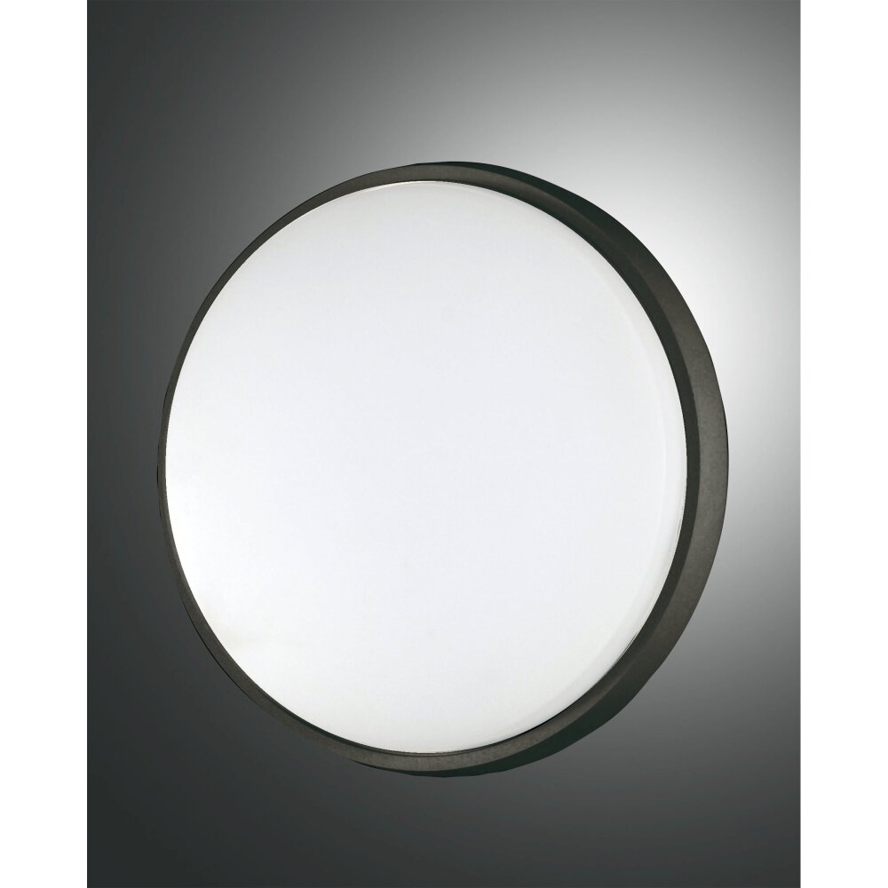 Fabas Luce Olly Buitenshuis plafond verlichting LED Zwart, 1-licht main product photo