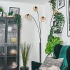 Koyoto Kogellampje, Staande lamp Amber, Duidelijk, 3-lichts