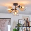Koyoto Plafondlamp, Kogellampje Amber, Duidelijk, 3-lichts