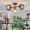 Koyoto Plafondlamp, Kogellampje Amber, Duidelijk, Rookkleurig, 3-lichts