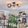 Koyoto Plafondlamp, Kogellampje Amber, Duidelijk, Rookkleurig, 3-lichts
