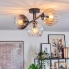 Koyoto Plafondlamp, Kogellampje Amber, Duidelijk, Rookkleurig, 3-lichts