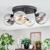 Gastor Plafondlamp, Kogellampje Amber, Duidelijk, Rookkleurig, 4-lichts
