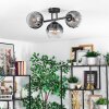 Koyoto Plafondlamp, Kogellampje Duidelijk, Rookkleurig, 3-lichts